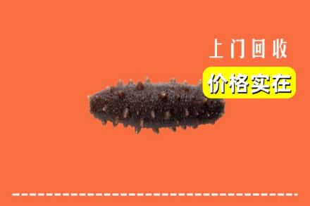 株洲茶陵县回收海参