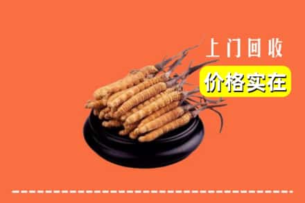 株洲茶陵县回收冬虫夏草
